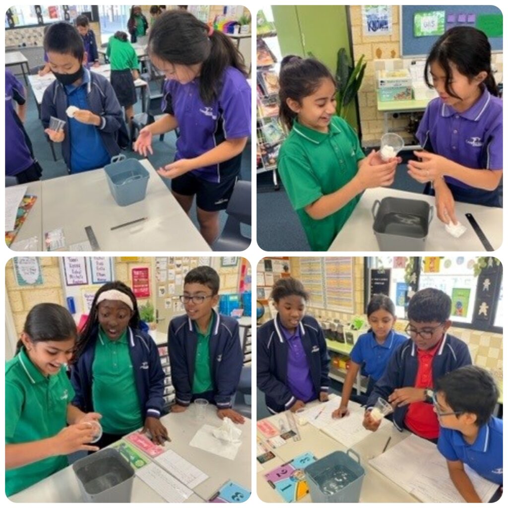 Newsletter Issue 1 Term 2 Caladenia Primary School